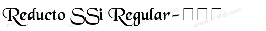 Reducto SSi Regular字体转换
